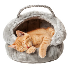 cat in a cozy cat bed isolated on transparent background