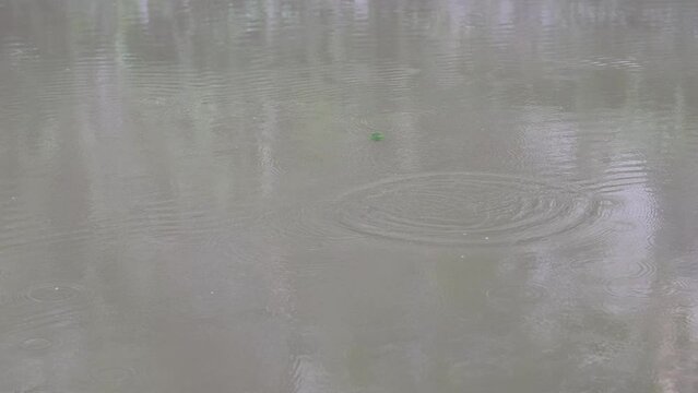Raindrops Falling on Water Surface