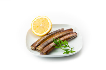 Fresh razor clams neatly arranged on a white square plate, garnished with a sprig of green parsley, isolated on a white background
