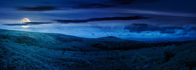 panorama of carpathian mountain landscape at night. composite scene with grassy hills and meadows in full moon light. fantasy background