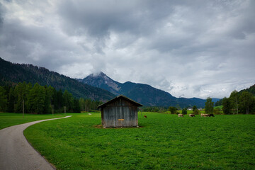 Eine Holzhütte auf einer Wiese am Wegesrand, mit Kühen und Bergpanorama im Hintergrund