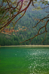 Blick über einen grün schimmernden See, mit herbstlichen Zweigen im Vordergrund und einem...