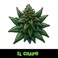 Vector Illustrated El Chapo Cannabis Bud Strain Cartoon
