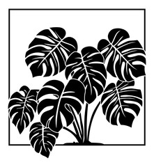 black silhouette of a monstera flower in a square frame without background