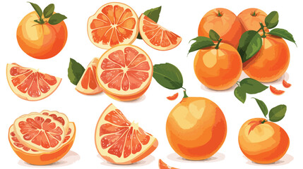 Set of ripe grapefruits on white background Vector illustration
