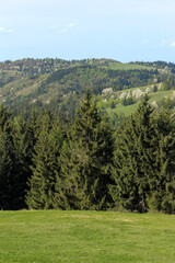 meadow behind which trees and hills are photographed during the day