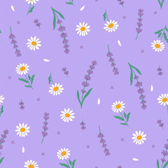 Fototapeta na wymiar Seamless pattern of chamomile and lavender. Vector graphics.