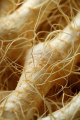 Inulin A macro photograph of chicory roots