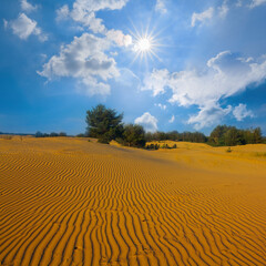 summer sandy desert under a sparkle sun