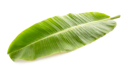 Obraz premium bananenblatt isoliert auf weißen Hintergrund, Freisteller