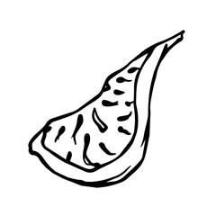 Linear sketch,doodle of summer figs.Vector graphics.