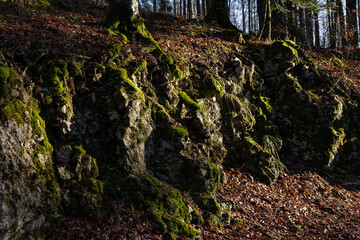 primo piano di una piccola parete di roccia, in un ambiente naturale in collina, coperta...