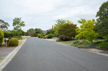 A quiet and clean suburban asphalt road lined with a variety of beautiful trees and plants in front yard garden of Australian homes. Peaceful and spacious way in residential neighbourhood street.