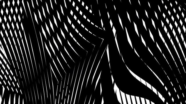 Abstract creative black and white curve stripe motion background. Video animation Ultra HD 4k footage.