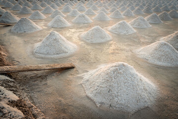 The salt industry is a large and important industry that produces salt, a mineral that is essential...