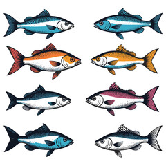 A set of Fishes with Colors, Sea Food Fishing