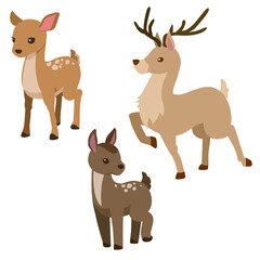 Fototapeta premium set of deer