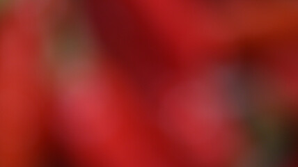 Blur background Red cayenne pepper background