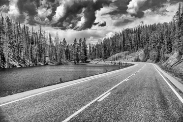 Road across Yellowstone National Park