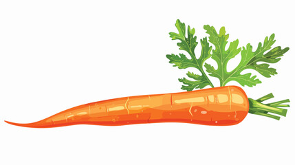 Vegetable organic food cartoon fresh carrot isolated