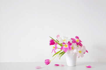 white and pink  tulips in white vase on background wall - 795073291