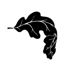 Linear silhouette of an oak leaf.Decorative botanical element.Vector graphics.