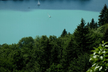 Sailing boats on a cyan blue mountain lake with forest on the shore