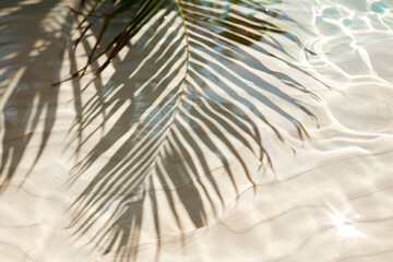 Tropical leaf shadow on water surface. Shadow of palm leaves on white sand beach.