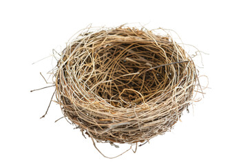 The Fascinating World of Bird Nests On Transparent Background.