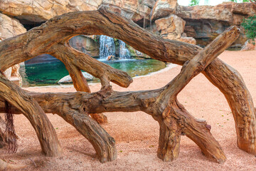 Wooden branches in the savanna park with waterfall