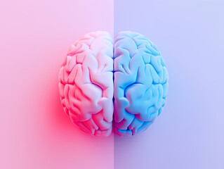 Human brain divided in two hemispheres, blue and red, on a pink and blue gradient background. Studio conceptual photography. Left and right brain functions concept. Design for educational poster, medi