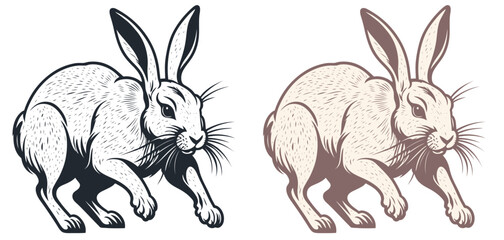 Wild hare, vector illustration