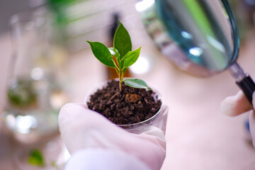 Lab plants