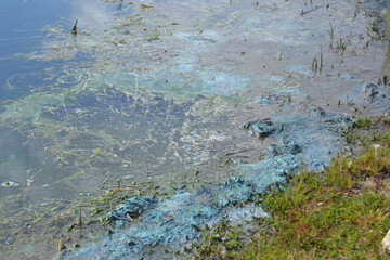 CAMPO ZAMORA EMBALSE (REVISTA VIVE ZAMORA)