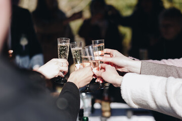 Caucasians clink glasses of champagne