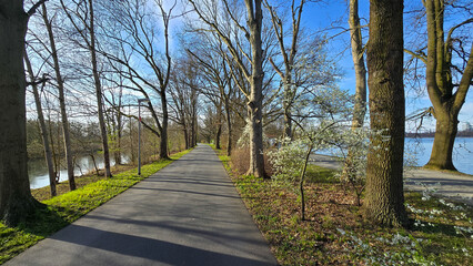 A treelined path through grass leads to a serene body of water Maschsee Hanover