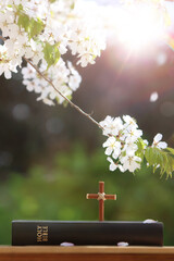 Holy Bible and cross of Jesus Christ, cherry blossoms blowing in spring wind and bright sunlight...
