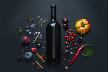 Flavor components of red wine. Wine bottle mock-up