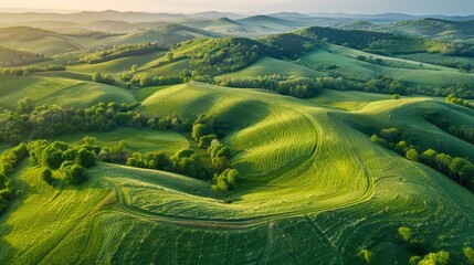 Obraz premium Aerial view of rolling hills and meadows covered in vibrant green foliag