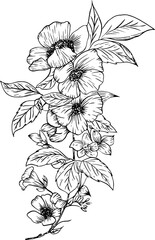 Hand drawn apple blossom flowers with leaves