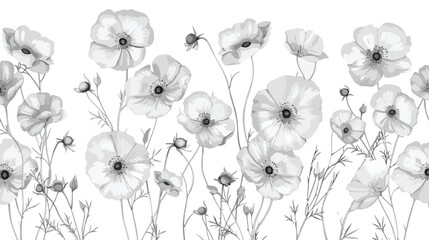 Pattern on a white background with a white wild flower - obrazy, fototapety, plakaty