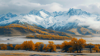 Snow-covered mountains and yellow autumn trees. Kurai