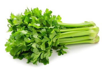 Celery cilantro parsley herbs.