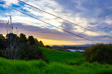 Sunset view in East Auckland in New Zealand - obrazy, fototapety, plakaty