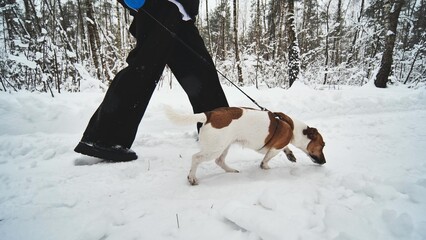 A girl and her Jack Russell Terrier dog are running through the woods.