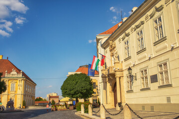 City Hall in Szekesfehervar,Hungary.Summer season.