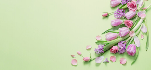spring flowers on green paper background - obrazy, fototapety, plakaty