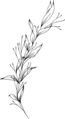 Naklejka premium Hand drawn Leaves on a single branch with buds