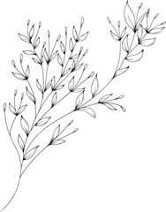 Hand drawn leaves on branch