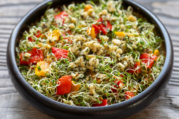 Close up view of alfalfa sprouts and roasted capsicum salad with cashew nut and herbs dressing. Healthy lifestyle concept. 
